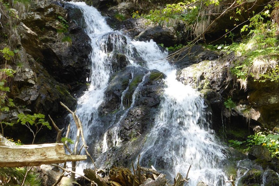 Nationalpark Bayerischer Wald